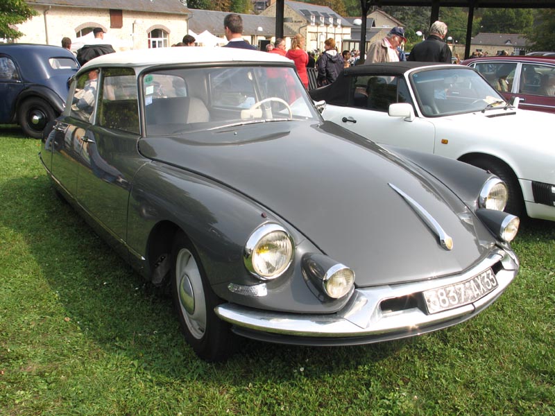 gris%20typhon%20gris%206.jpg